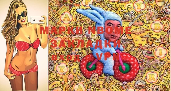 прущие грибы Верея