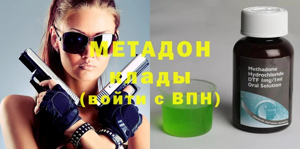 прущие грибы Верея