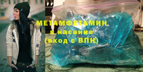 прущие грибы Верея