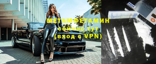 прущие грибы Верея