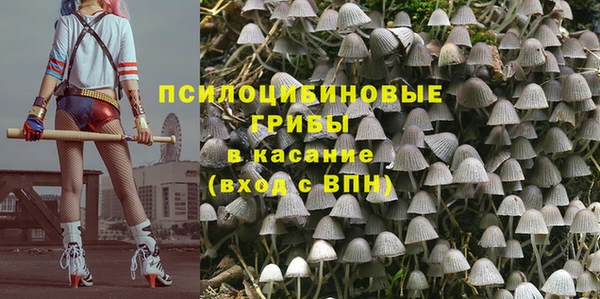 PSILOCYBIN Володарск